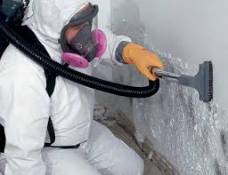 Mold Documentation for Insurance Claims in South Coventry, CT